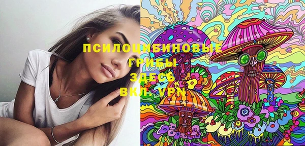 прущие крисы Краснослободск