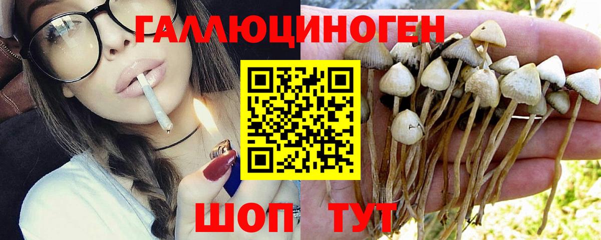 Псилоцибиновые грибы мухоморы Мелеуз