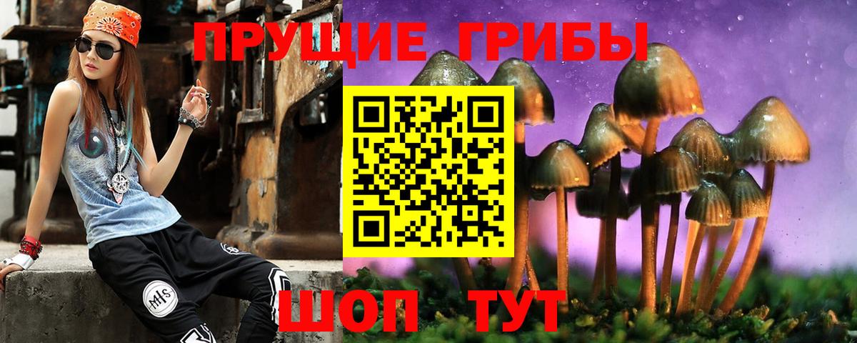 Галлюциногенные грибы MAGIC MUSHROOMS  Псилоцибиновые грибы Psilocybine cubensis  Мелеуз 